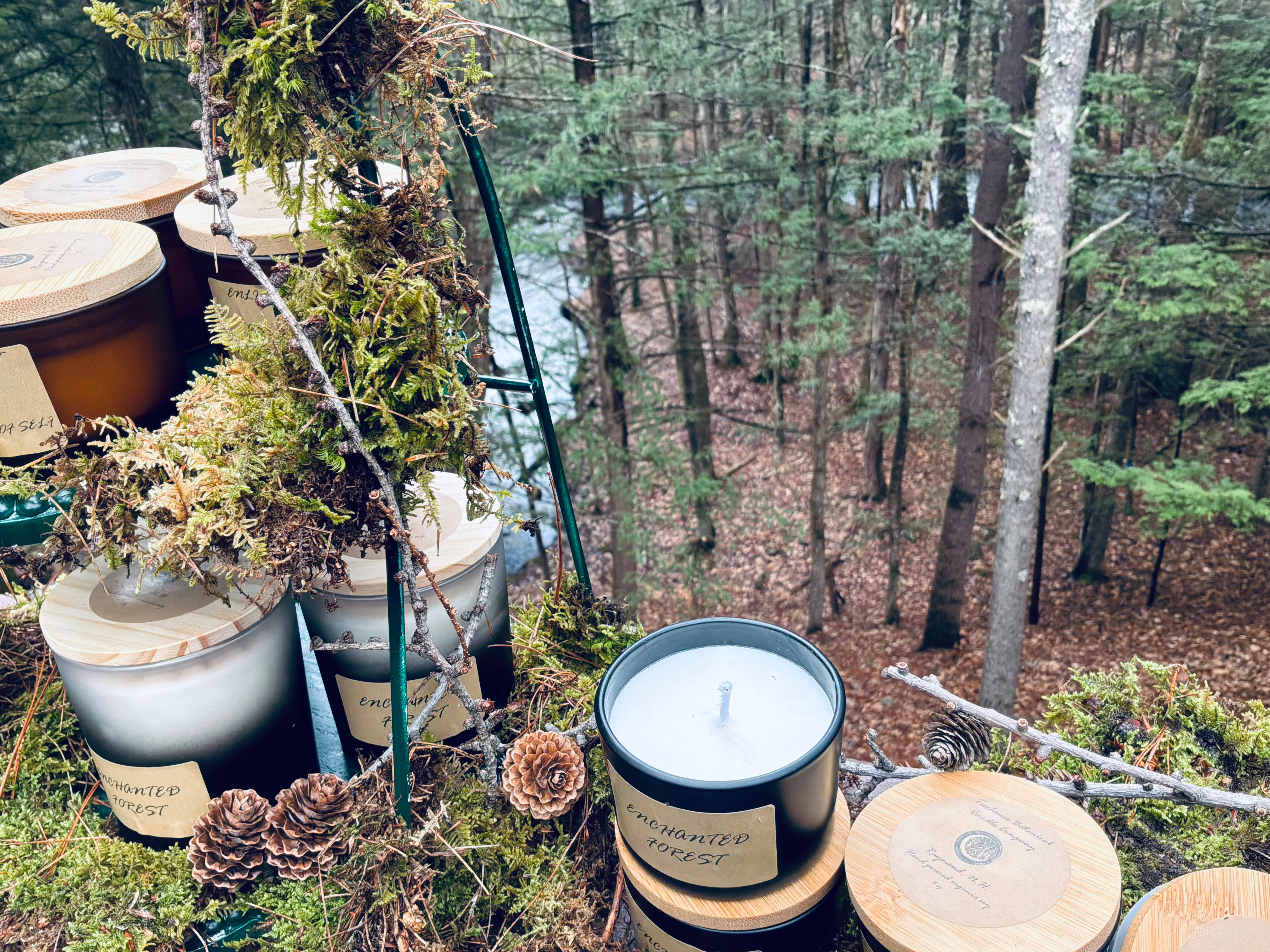 Treehouse Jar Candles