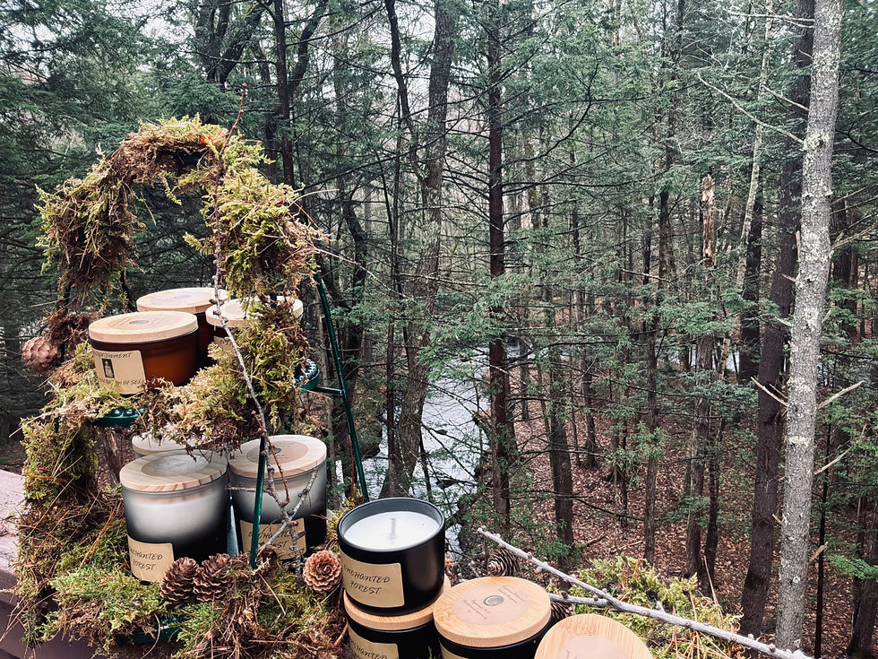 Thumbnail: Treehouse Jar Candles