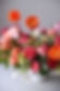 download (2).jpeg
