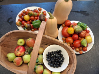 Things to do in the  Garden in September
