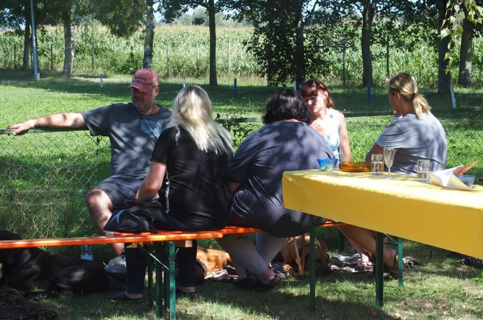 69447637_2818667168199254_35386364744360