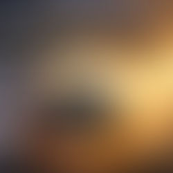 A WARNING TO THE UNITED STATES AND THE WORLD