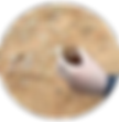 solo.png