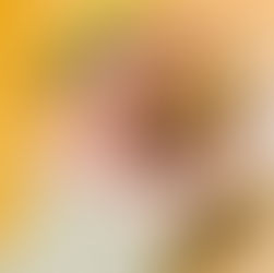 עוגיות שוקולד הכי קלות