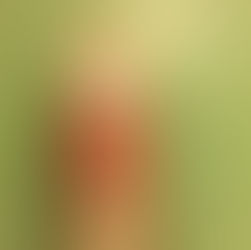 הדאודורנט הטבעי המושלם