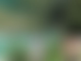 A Day Unveiled: Exploring the Magic of River Cruising