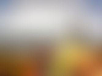 Sip and Sail: A Divine Journey of Wine Tasting on the Danube River Cruise