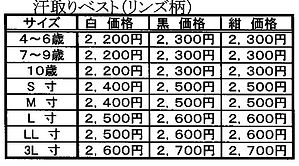 汗取りベスト.JPG