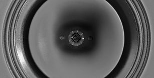 Dynamikks Coax Driver Close Up.jpeg