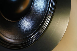 Dynanikks Driver cone detail.jpeg