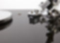 EAT C-Sharp Detail 2.jpg