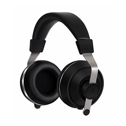 Final Sonorous IV Headphone