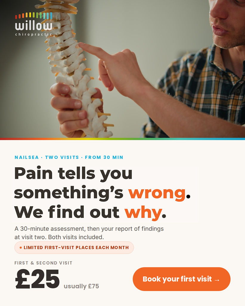 Willow Chiropractic x Nailsea People.png
