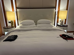 IMG_8591.JPEG