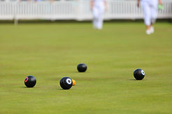Ladies playing lawn bowls.jpg