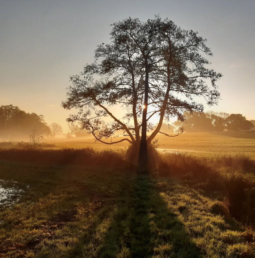 winter sunrise Hobbs 1.PNG