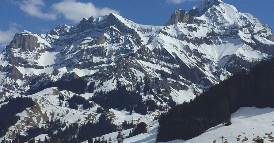 Adelboden Chalet Silberdistel, Bergwinter, Skifahren, Chuenisbärgli, Skirennen