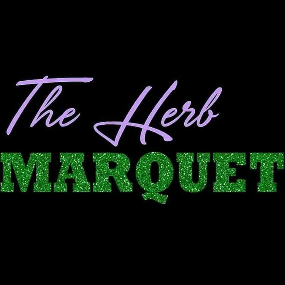 Wellness Consultation