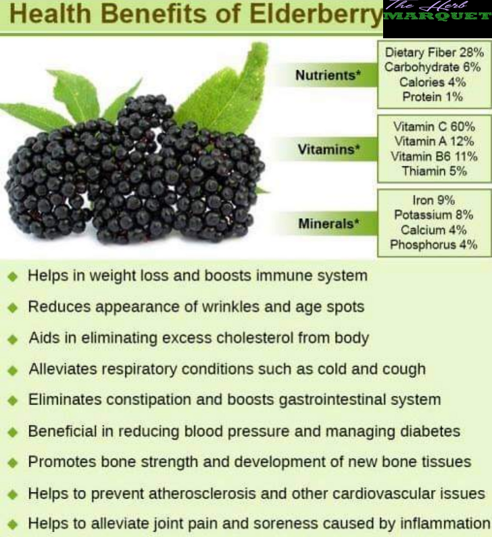Thumbnail: Gallon Elderberry Syrup