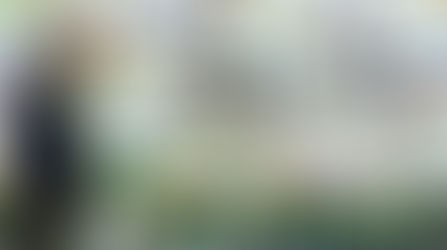 Due mesi d’oro per la Pro Recco Judo
Dall'Aquila a Celle Ligure, passando per Bergamo, Malaga,