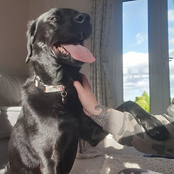 20201112_140016_edited_edited.jpg