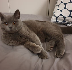 20191116_091106.jpg