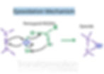 epoxidation mechanism
