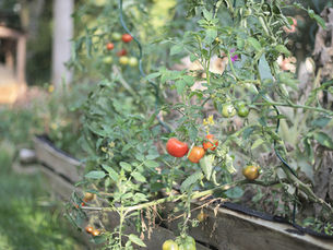 Mezinárodní den BLÁTA!!!