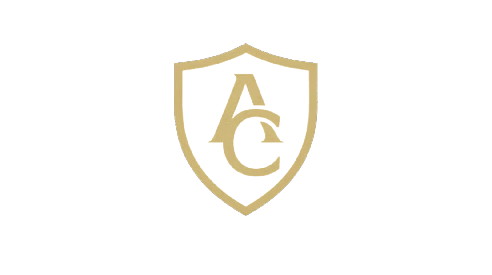 Logo original AUDITCOPS