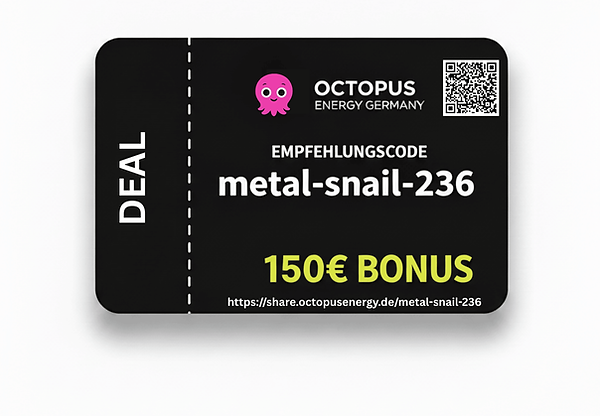 octopus-energy-erfahrung