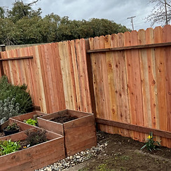 fence1_edited.jpg