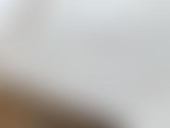 Stefanie Schönwetter - Hochzeitsreden