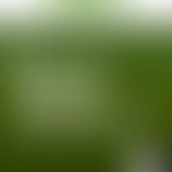 A People's Tribunal: How San Diego’s Pillars of the Community Held the District Attorney Accountable for Racial Disparities in Charging and Sentencing