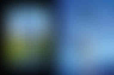 Ryan T. Schmidt sculptures