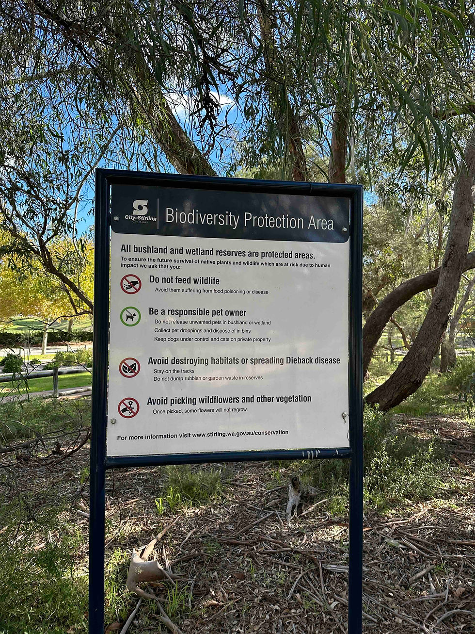 Abbeybrook reserve