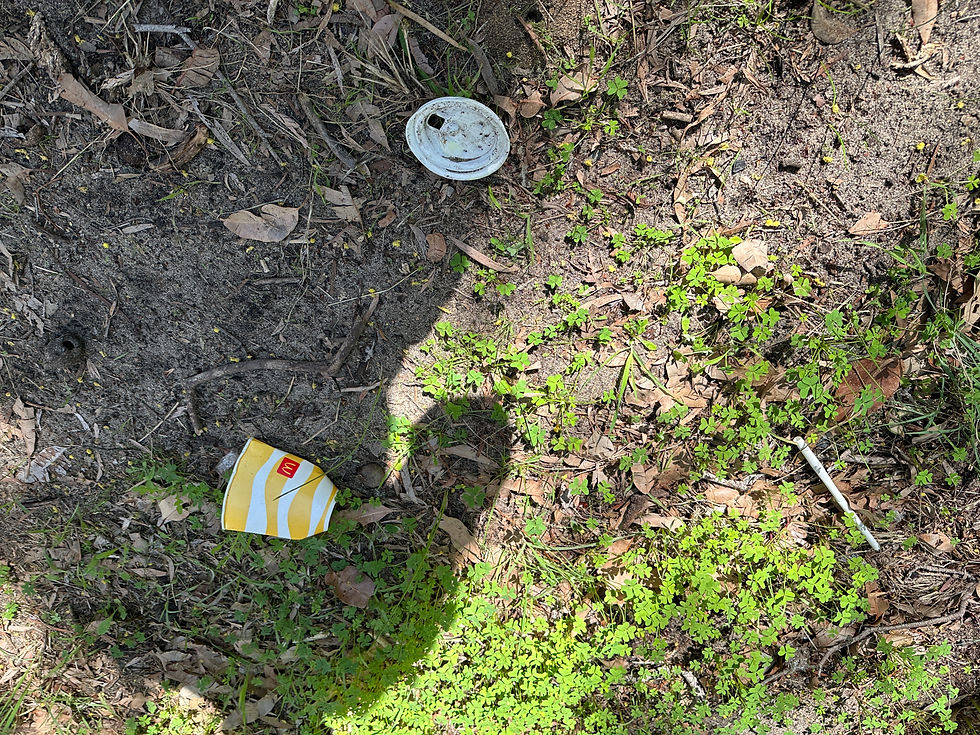 Churchlands Bushland