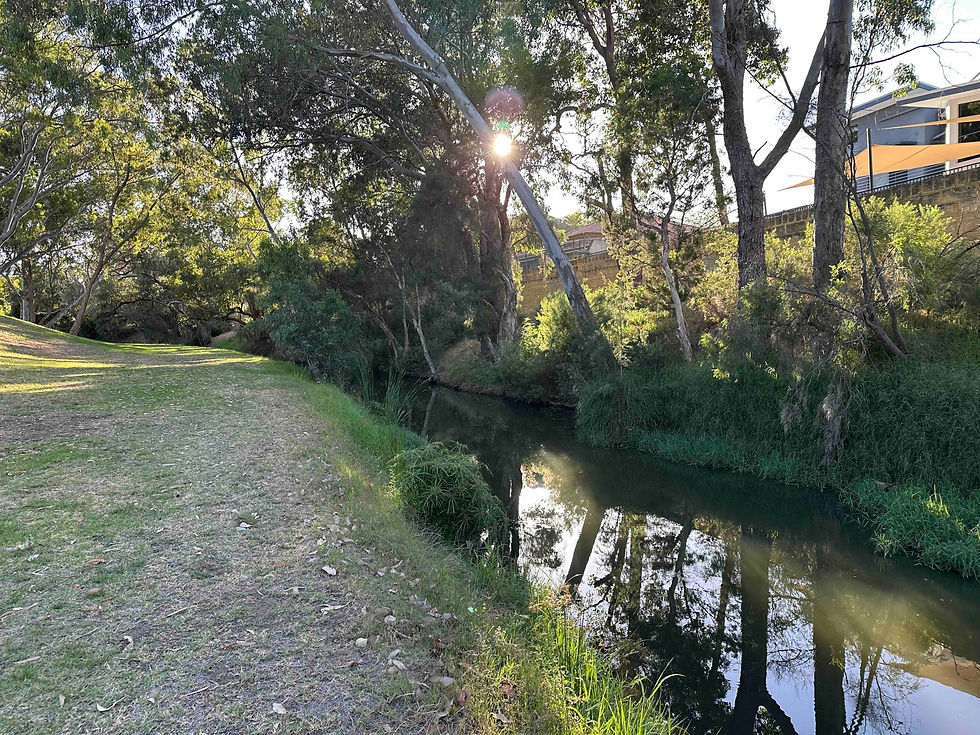 Abbey Brook, churchlands