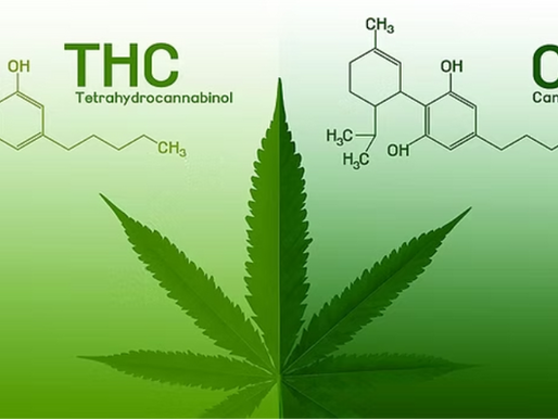 The Science Behind THC and CBD: What You Need to Know