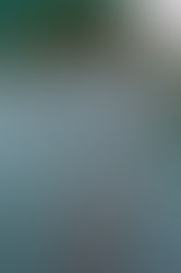 "Ζωή αποδημητική", της Διώνης Δημητριάδου