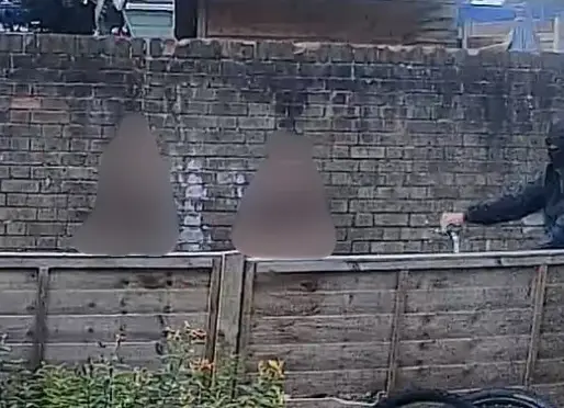 Appeal after girl, 5, seriously injured in electric motorcycle collision