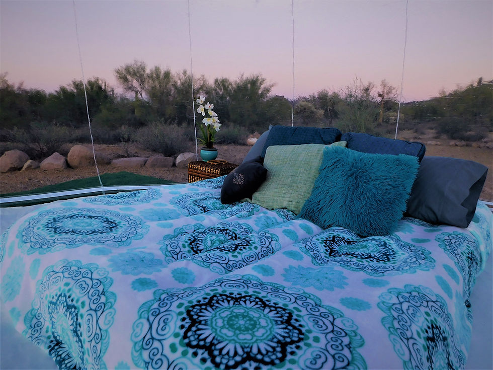 airbnb_bnb_popup hotel_ giant clear globe_guest room