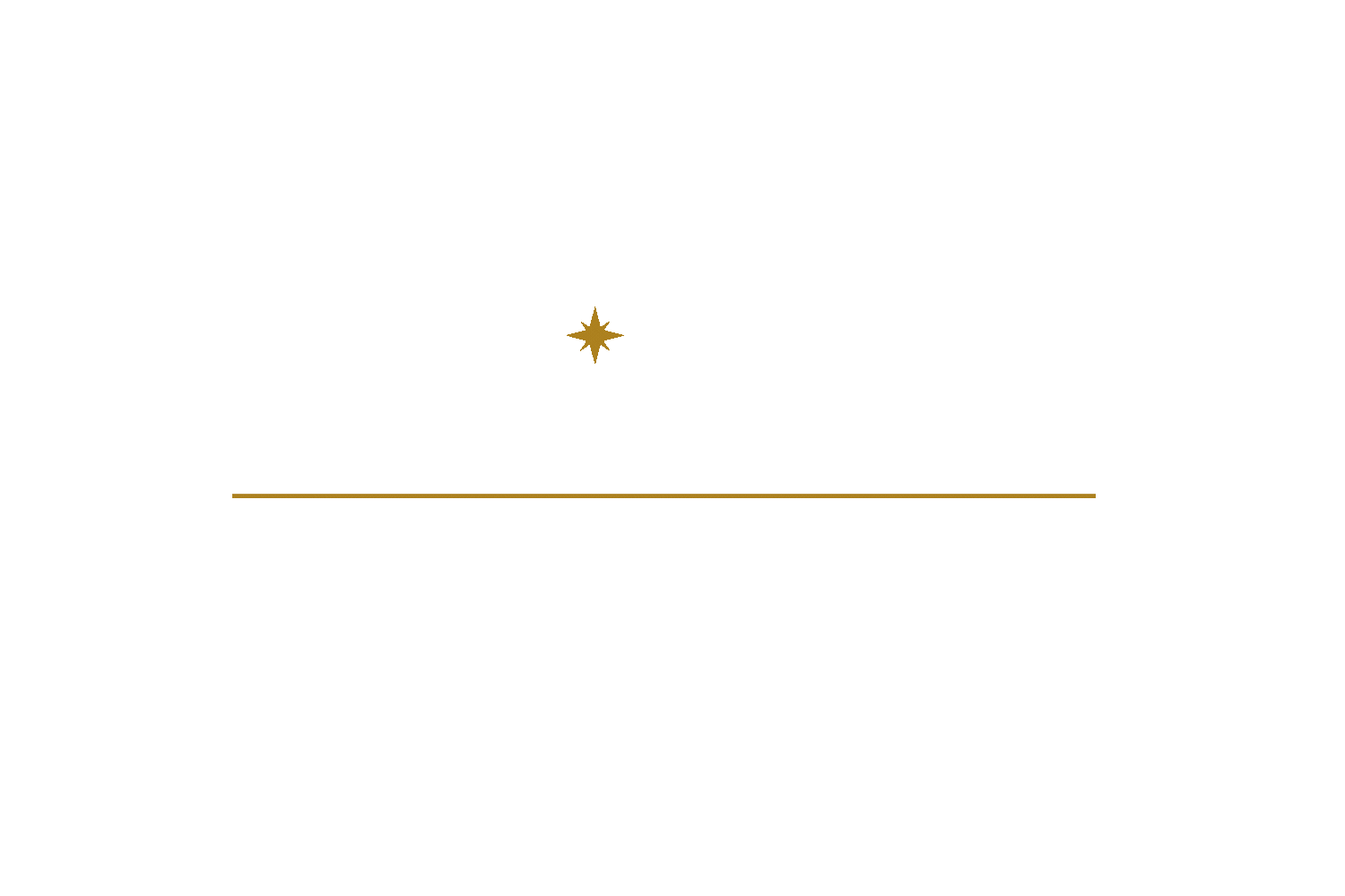 sari law firm animated logo
