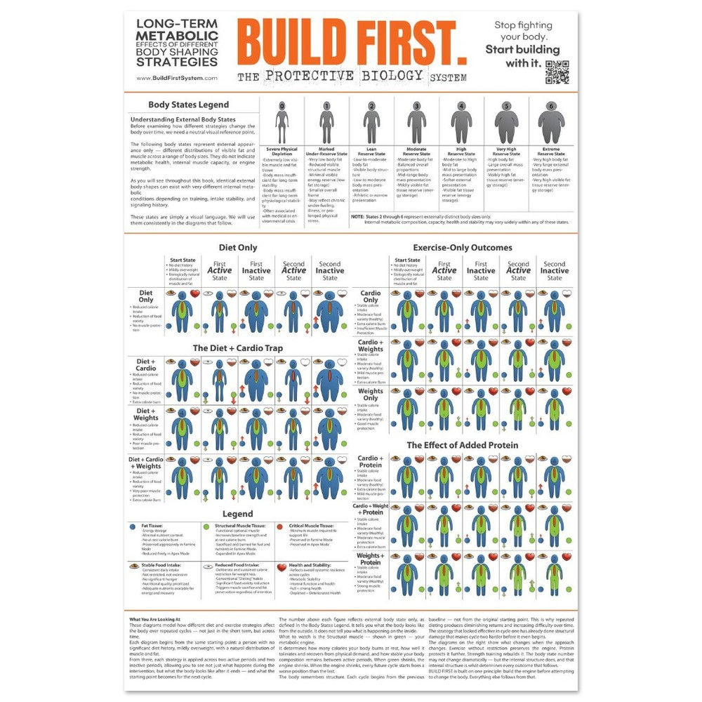 Long-Term Metabolic Effects of Common Body Shaping Methods 24×36 Fitness Poster