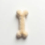 Plush Squeaky Bone