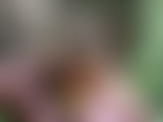 1080 New Zealand's Government Owned Business.