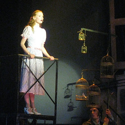 sweeney todd netherlands.jpeg