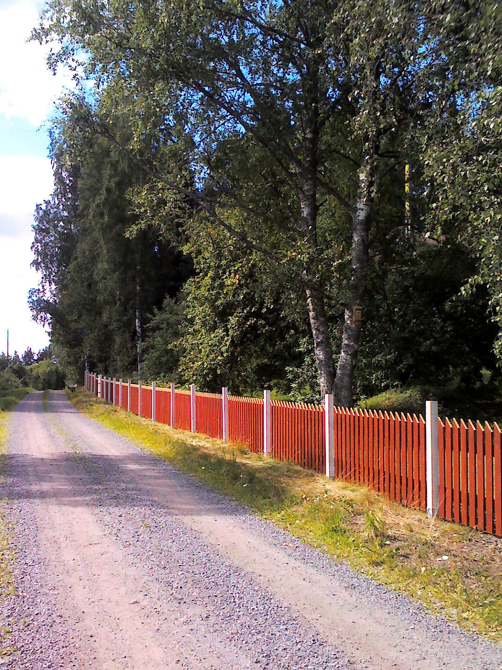 IMG0063A.jpg