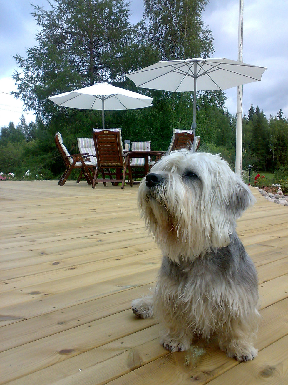 160720101413.jpg