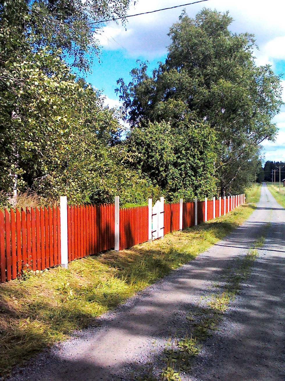 IMG0067A.jpg