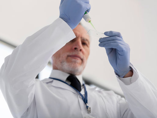 Transplante de medula óssea